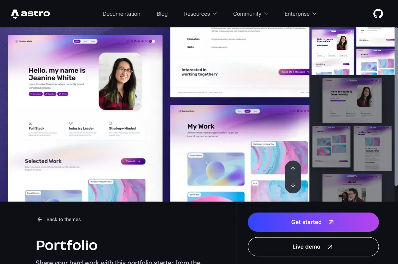 Screenshot reference for Astro (official) Portfolio theme